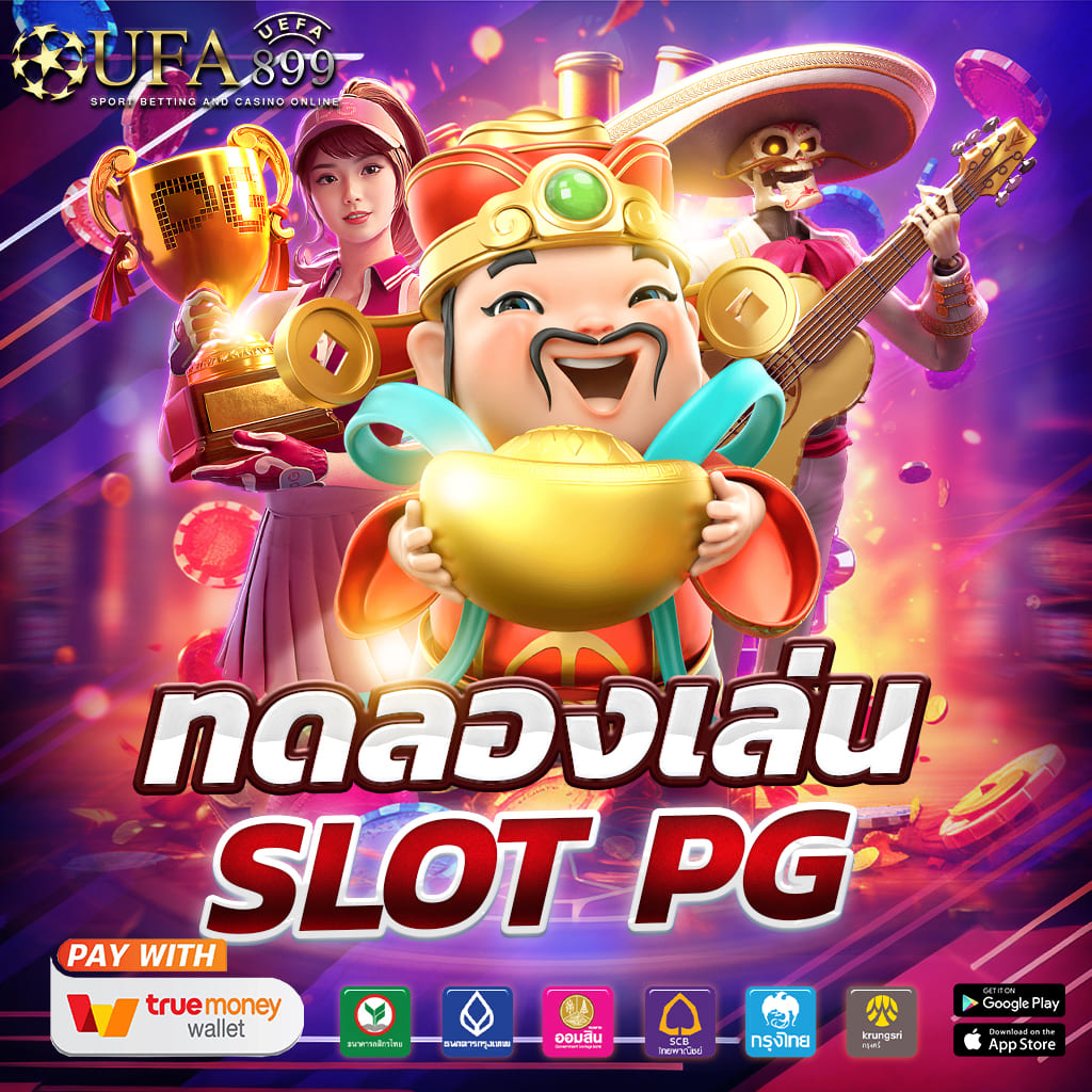 ไม่พบรูปภาพ
