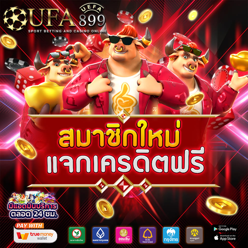ไม่พบรูปภาพ