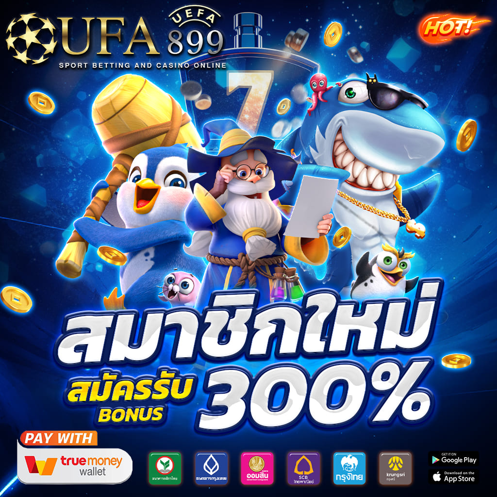 ไม่พบรูปภาพ