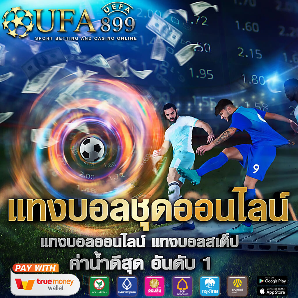 ไม่พบรูปภาพ